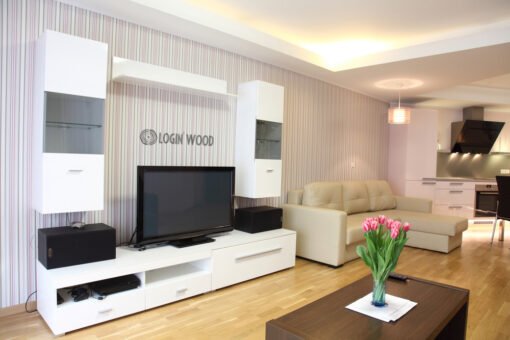 White Glossy TV Unit