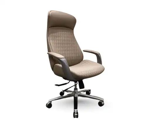 Precision ergonomic director chair